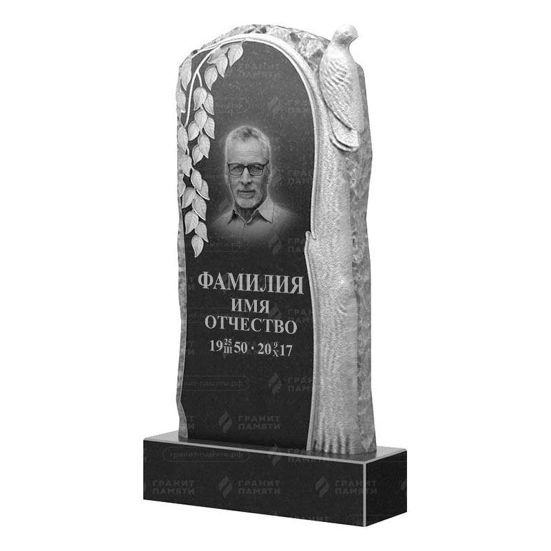 Гранитные памятники в Смоленске | Гранитный памятник ФГ-206