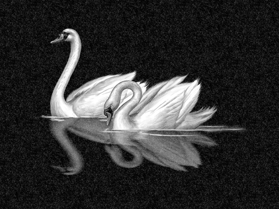 Рисунки | Рисунок на гранитную стелу, РГ-007